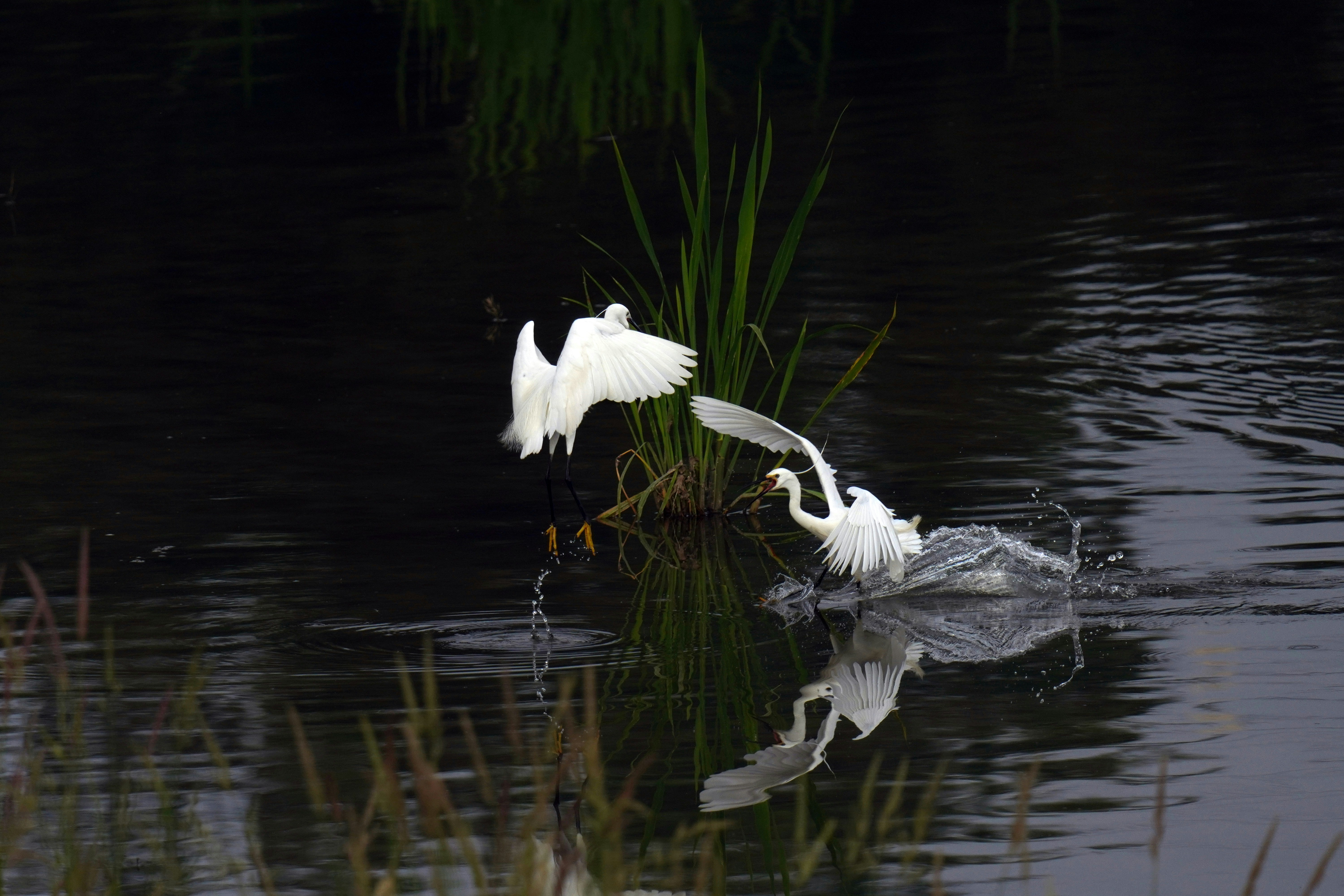 Photo by kim_dae_jeung