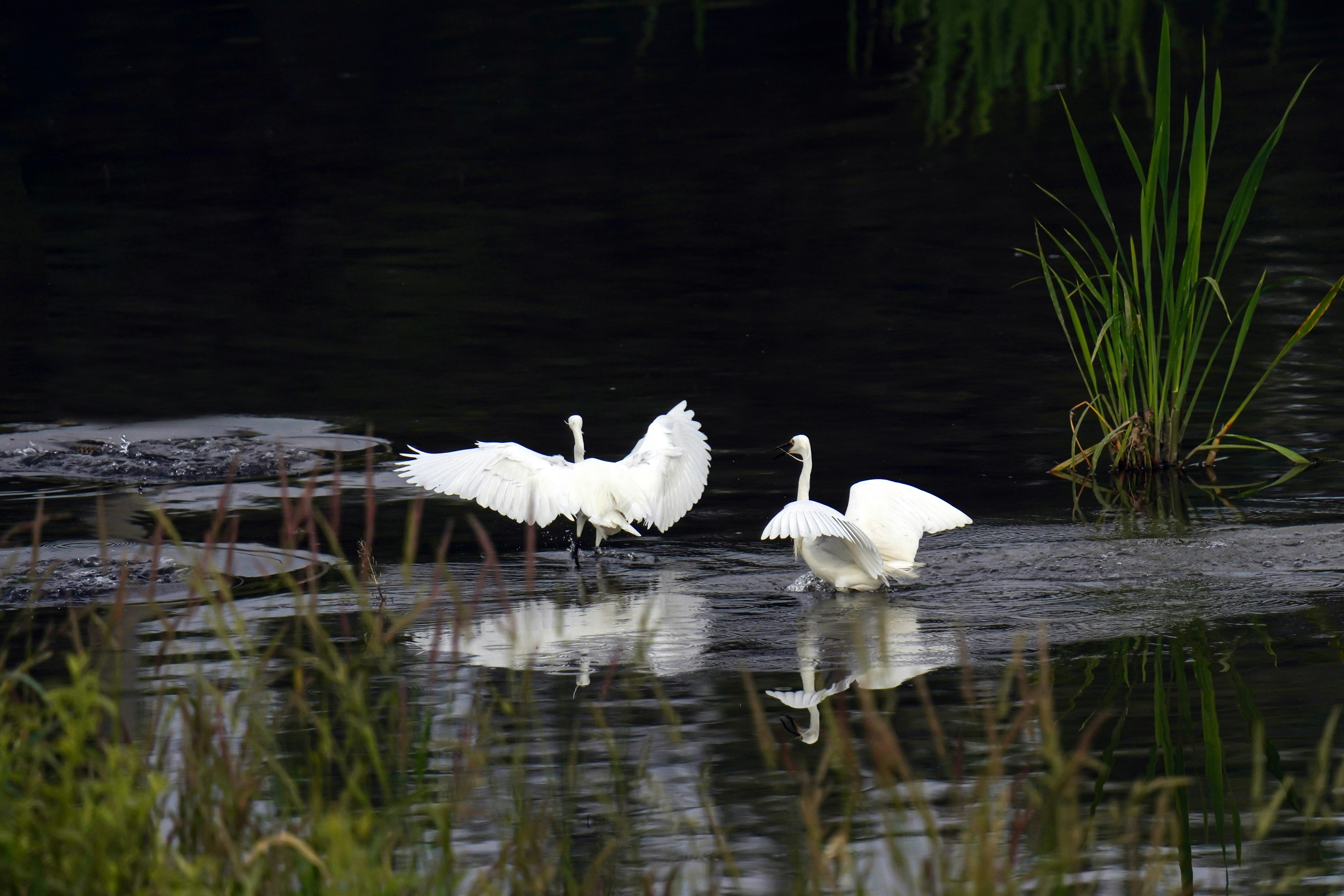 Photo by kim_dae_jeung