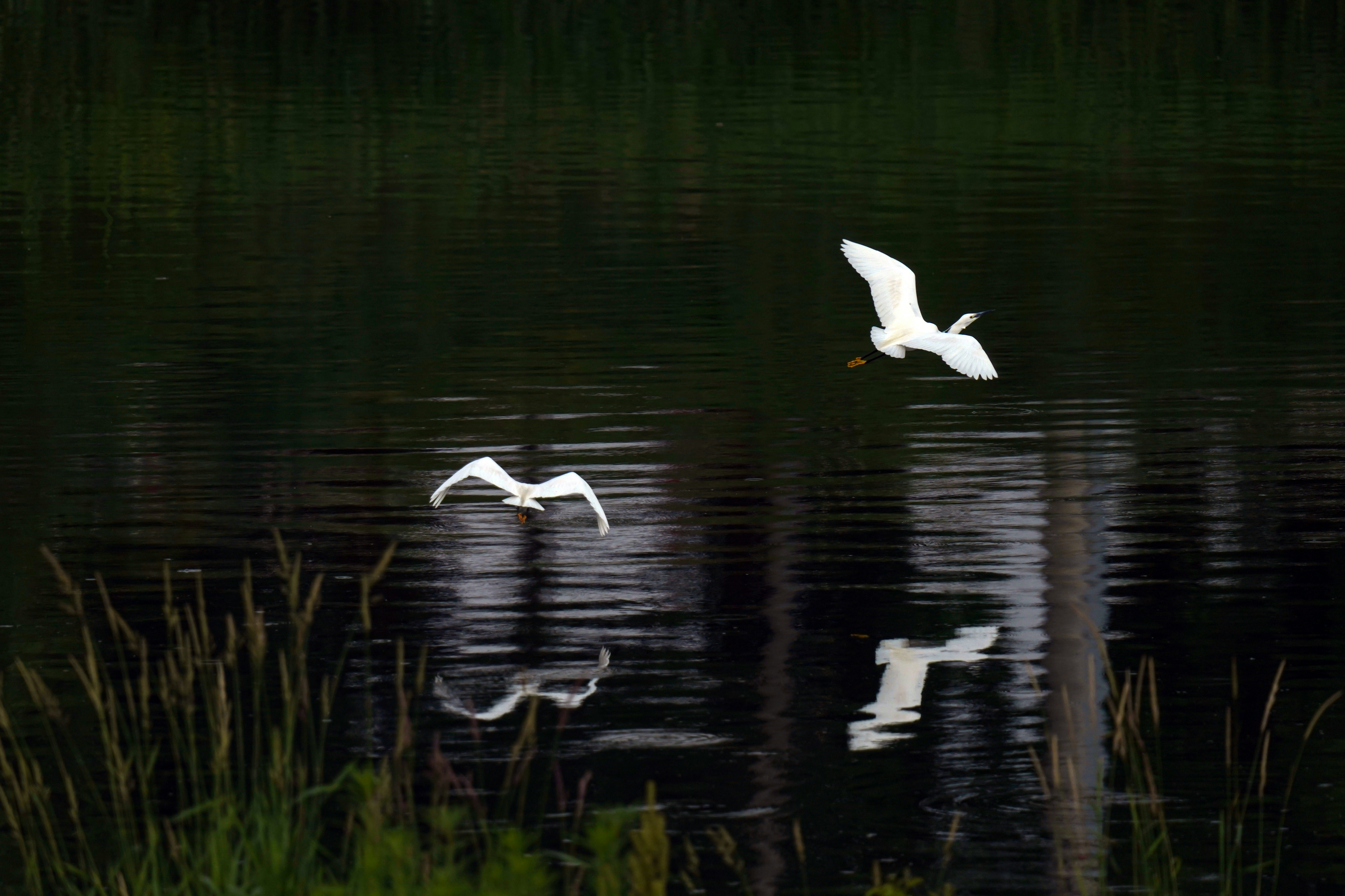 Photo by kim_dae_jeung