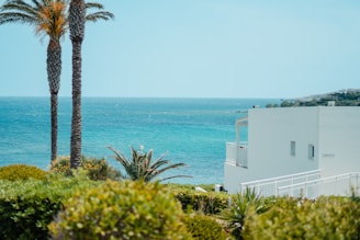 A coastal scene featuring a white modern building with clean lines, palm trees, lush green foliage, and a clear, blue ocean in the background. The sky is clear with a few distant clouds, creating a serene and tropical atmosphere.