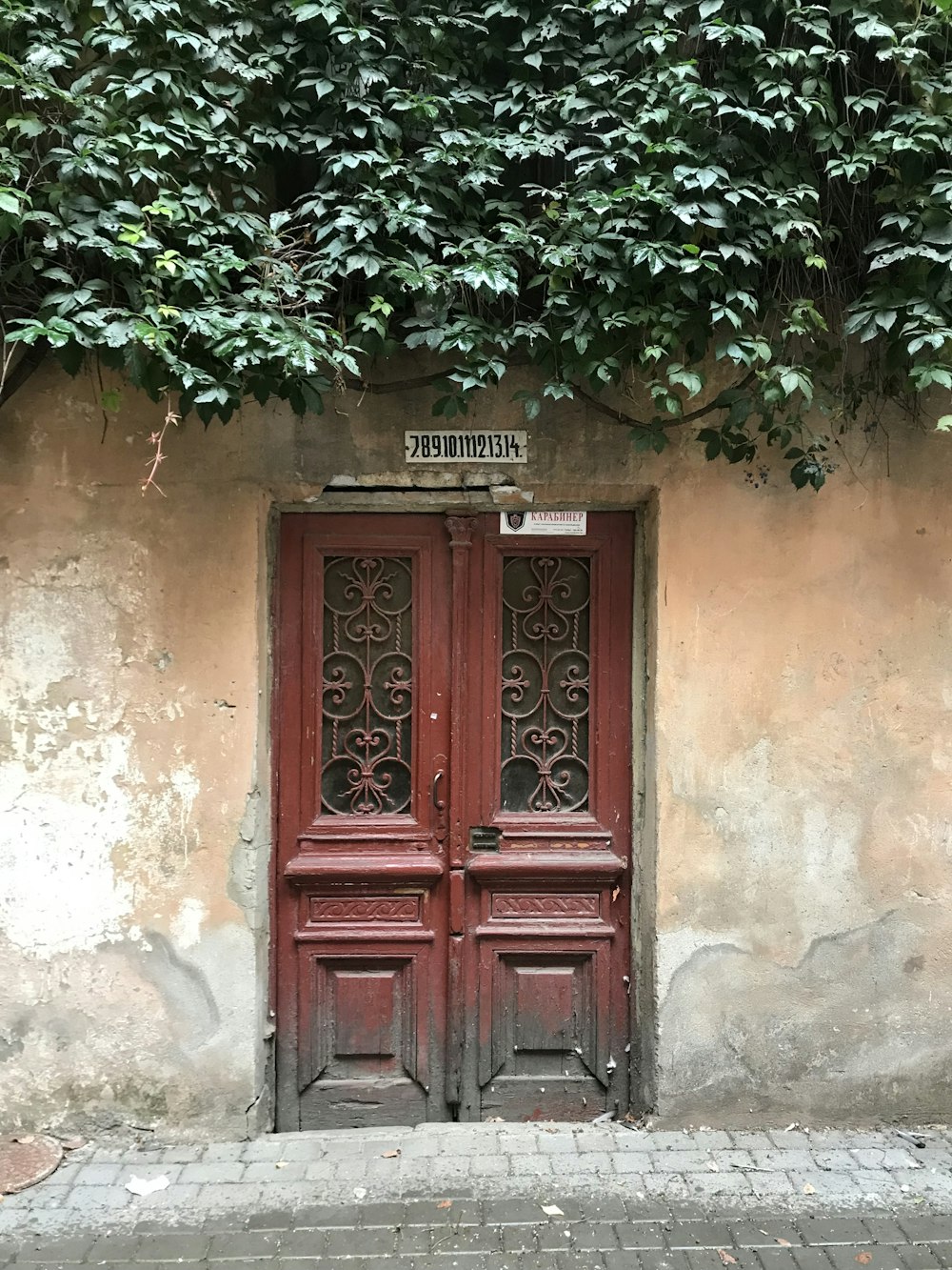 a red door sitting in front of a green tree