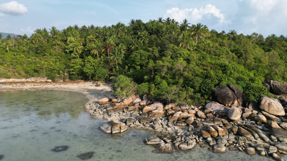 an aerial view of a beach with rocks and trees