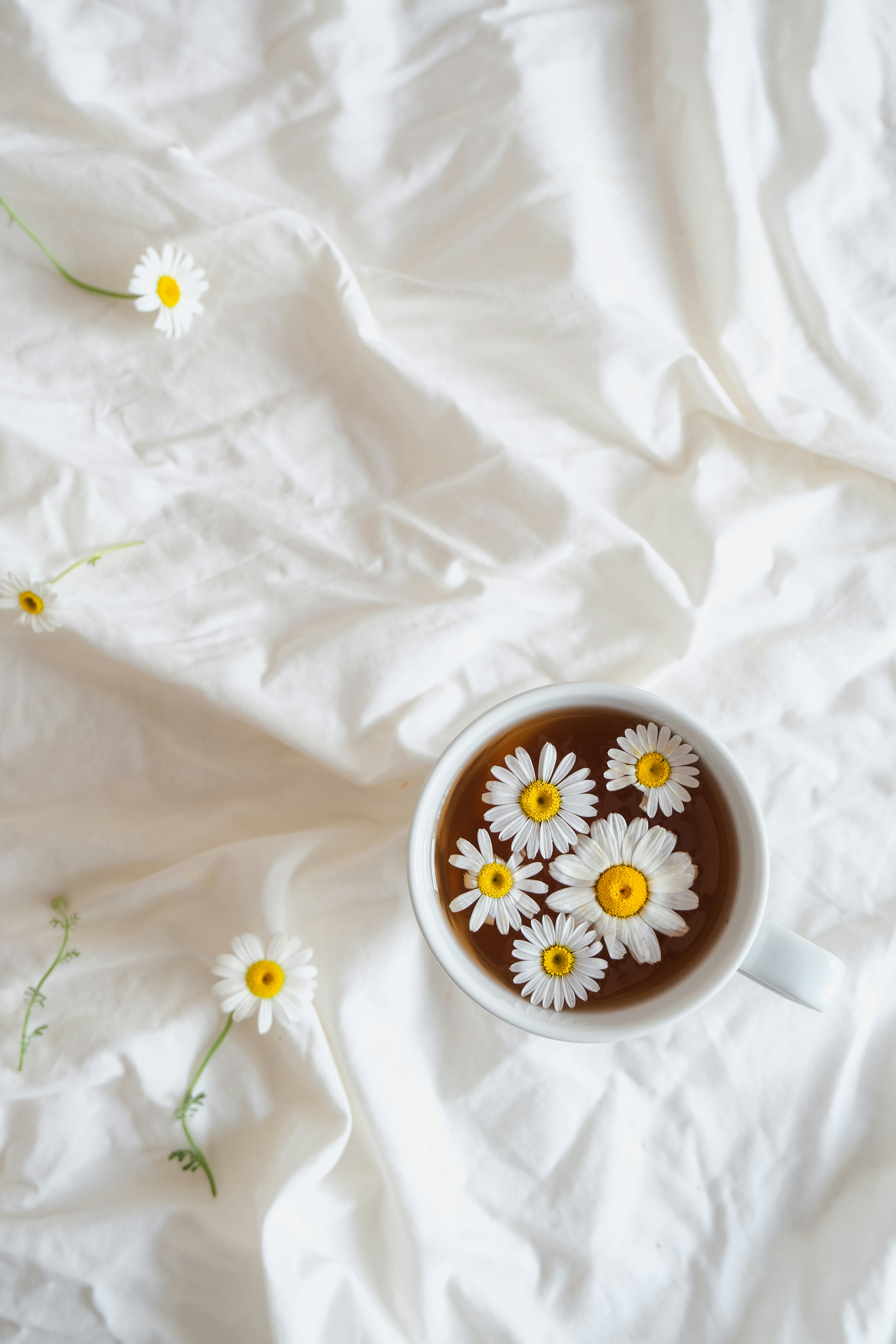 Photo by helloaesthe