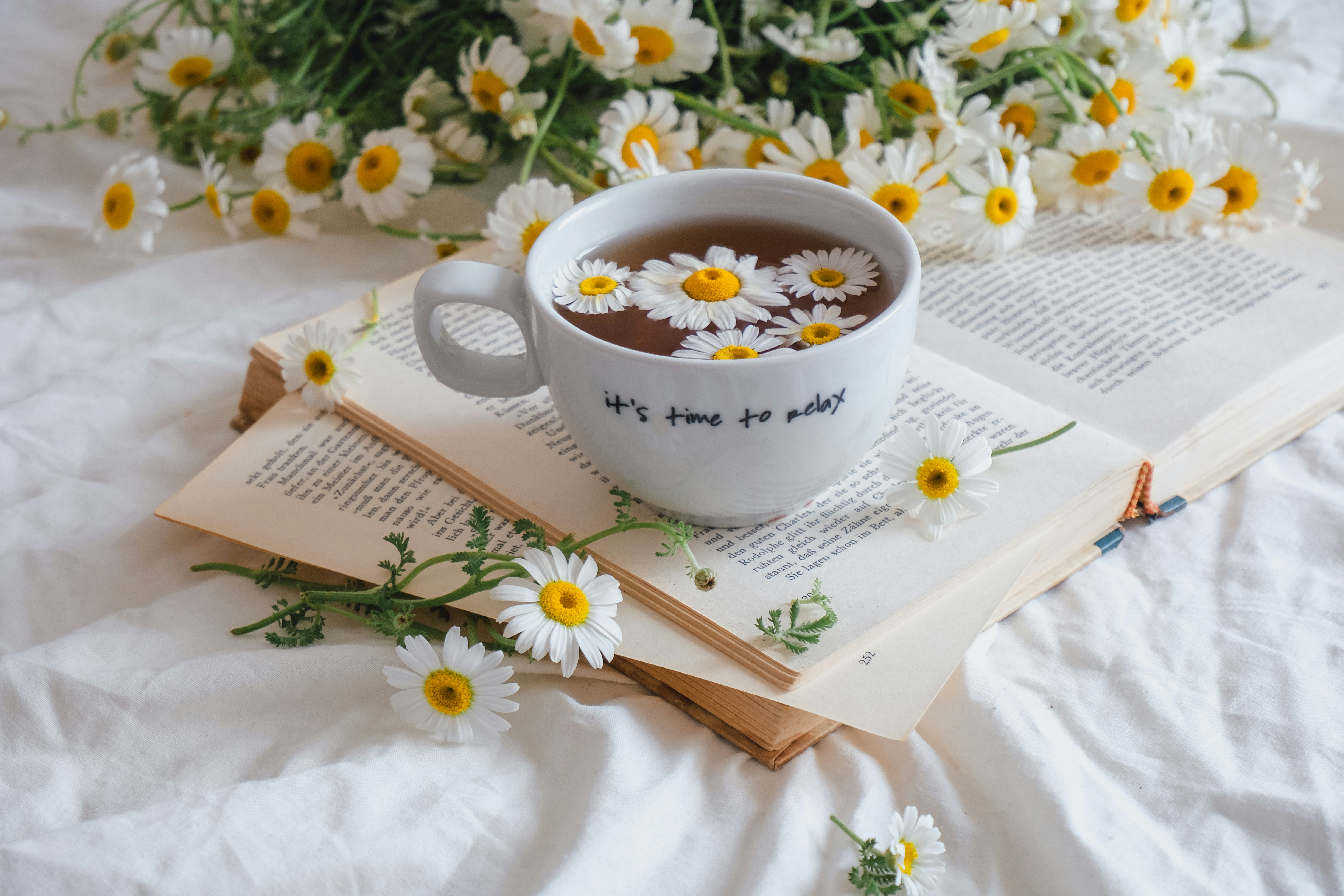 Photo by helloaesthe