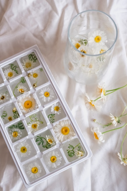 An ice tray filled with ice cubes containing chamomile flowers and green leaves is placed on a white fabric surface. Next to the ice tray, there is a glass filled with similar floral ice cubes. A few loose chamomile flowers are scattered around the glass.