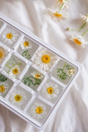 A white ice tray containing clear ice cubes with daisies and green leaves frozen inside. Several daisies also rest on a soft, white fabric surface next to the tray, creating a delicate and natural arrangement.