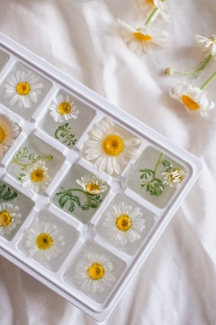 A white ice tray containing clear ice cubes with daisies and green leaves frozen inside. Several daisies also rest on a soft, white fabric surface next to the tray, creating a delicate and natural arrangement.