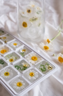 A close-up view of an ice cube tray filled with clear ice, each containing small white and yellow daisies and green foliage. A glass jar filled with similar frozen flowers and a scattering of fresh daisies are in the background, all placed on a soft white fabric surface.