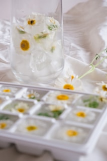 A glass filled with ice cubes that contain embedded daisies, placed on a white cloth background. In the foreground, a white ice cube tray holds additional ice cubes with flowers. Several loose daisies are scattered around, enhancing the delicate and refreshing visual theme.