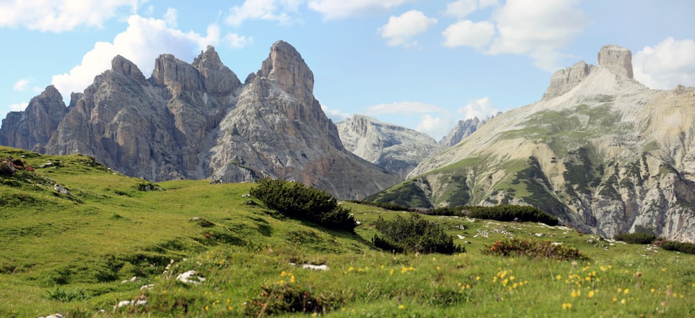 a grassy field with mountains in the background