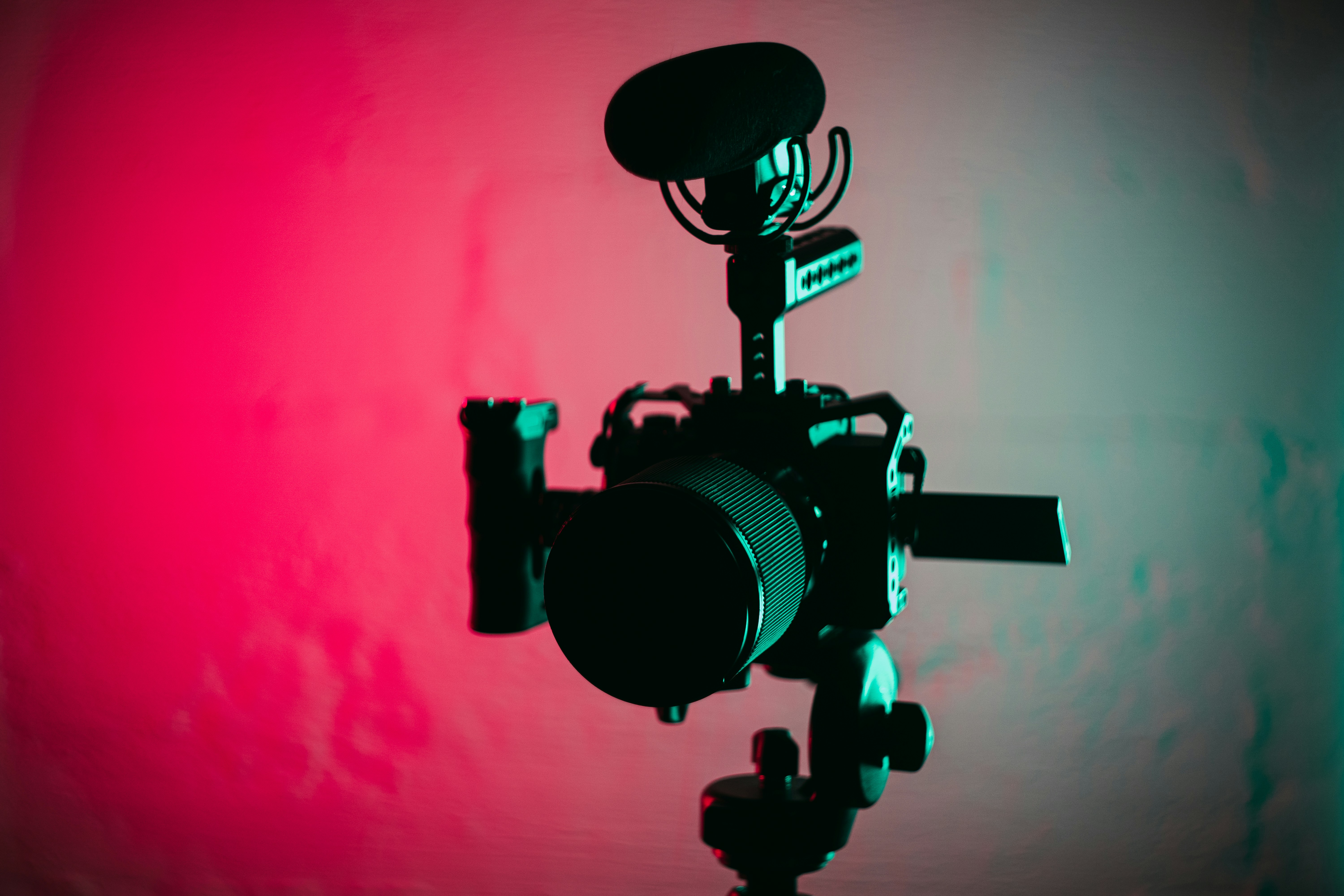 Photo by 1981digital