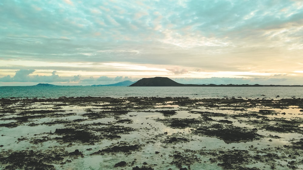 a view of a body of water with a small island in the distance