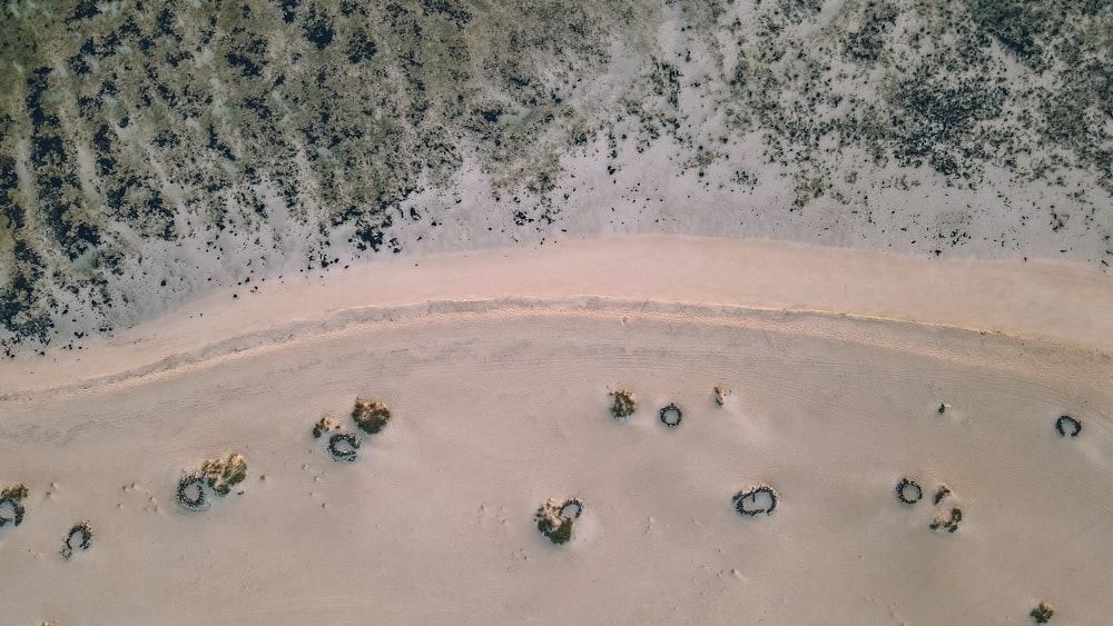 an aerial view of a sandy beach and trees