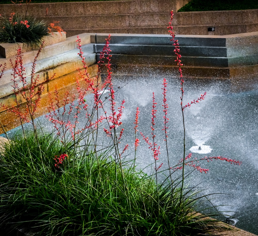 a fire hydrant spewing water into a pond