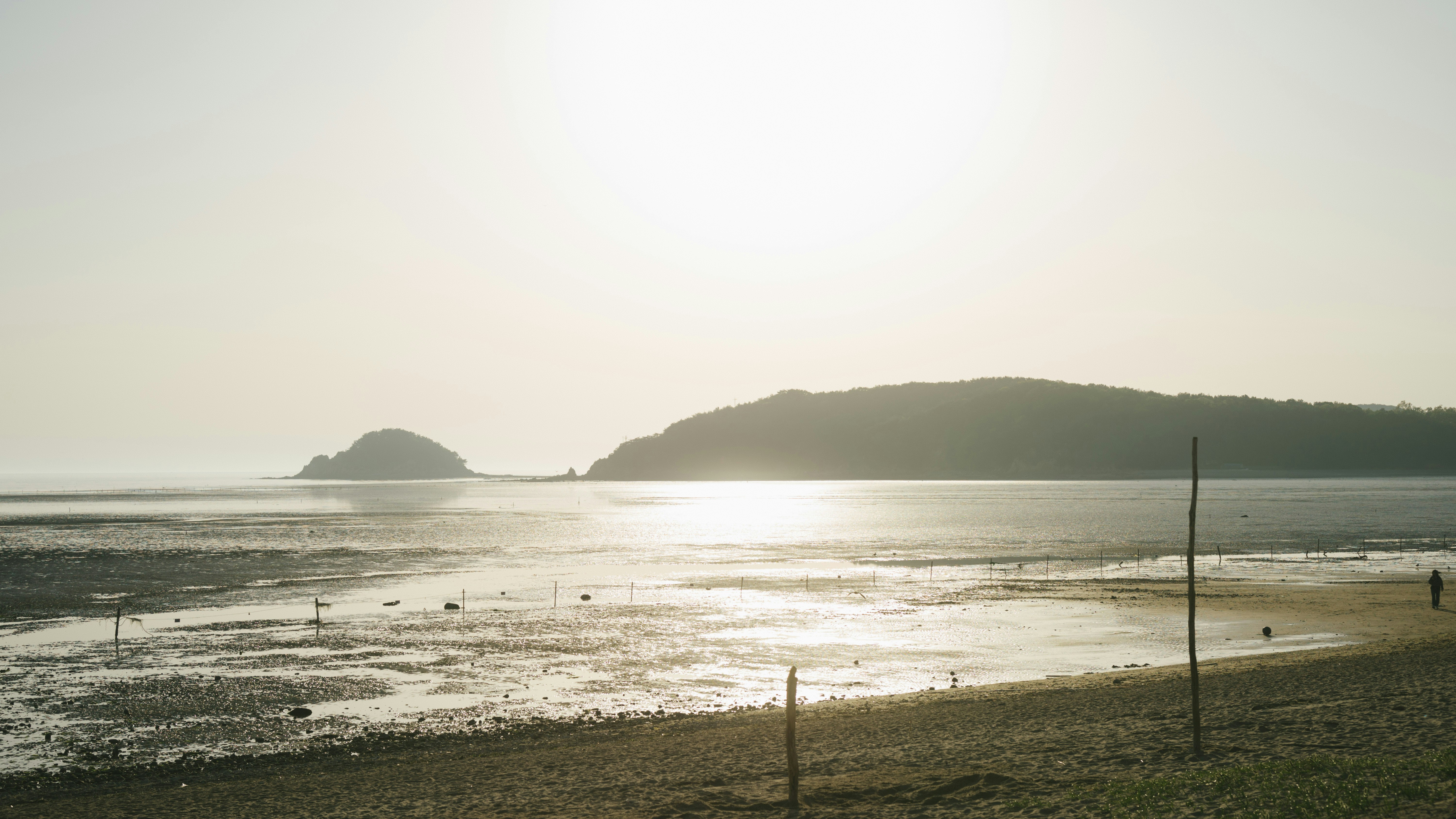 photo-1686063294361-910138d639f0?ixid=M3