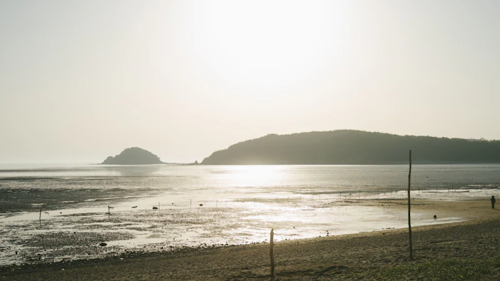 Best Eco-Friendly Resorts and Sustainable Stays in Incheon