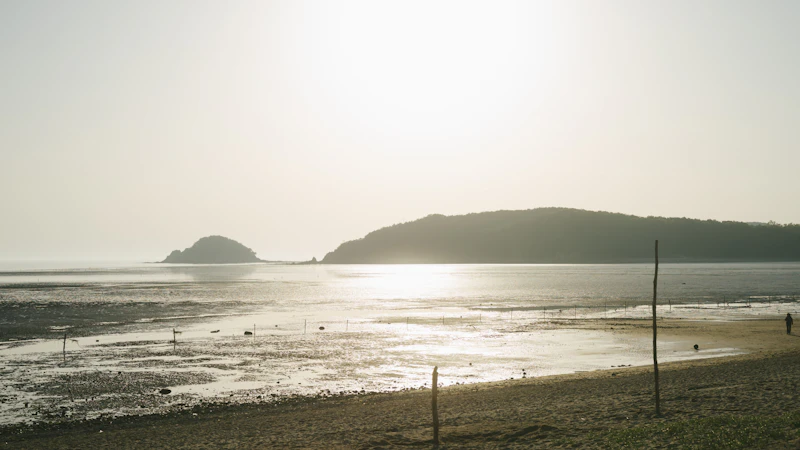 Best Eco-Friendly Resorts and Sustainable Stays in Incheon