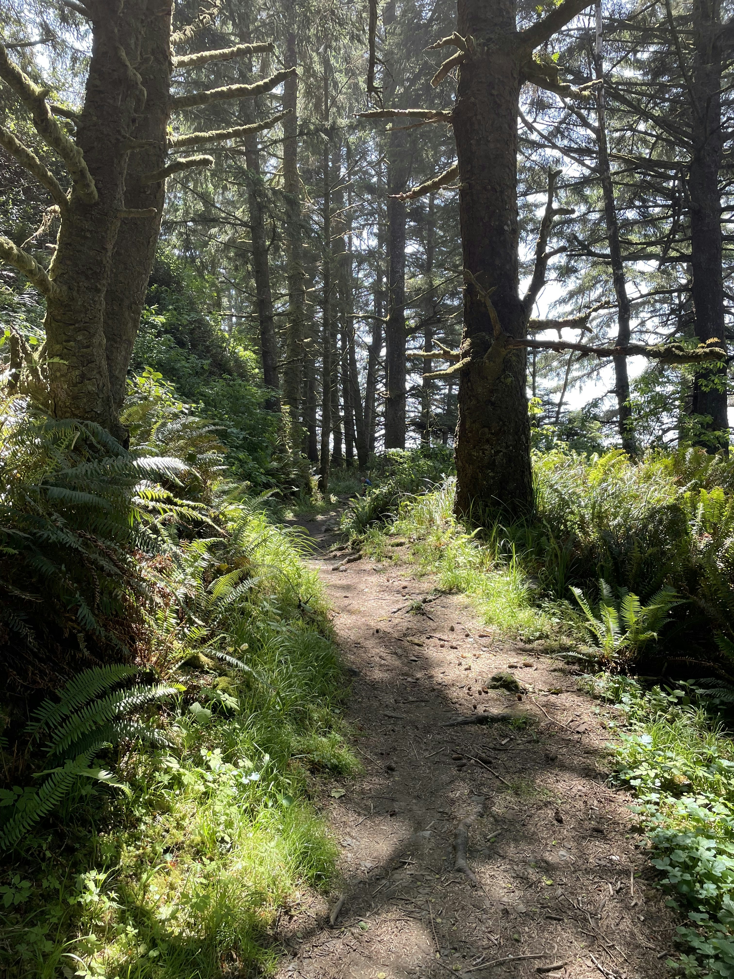 Photo by sedricbenson