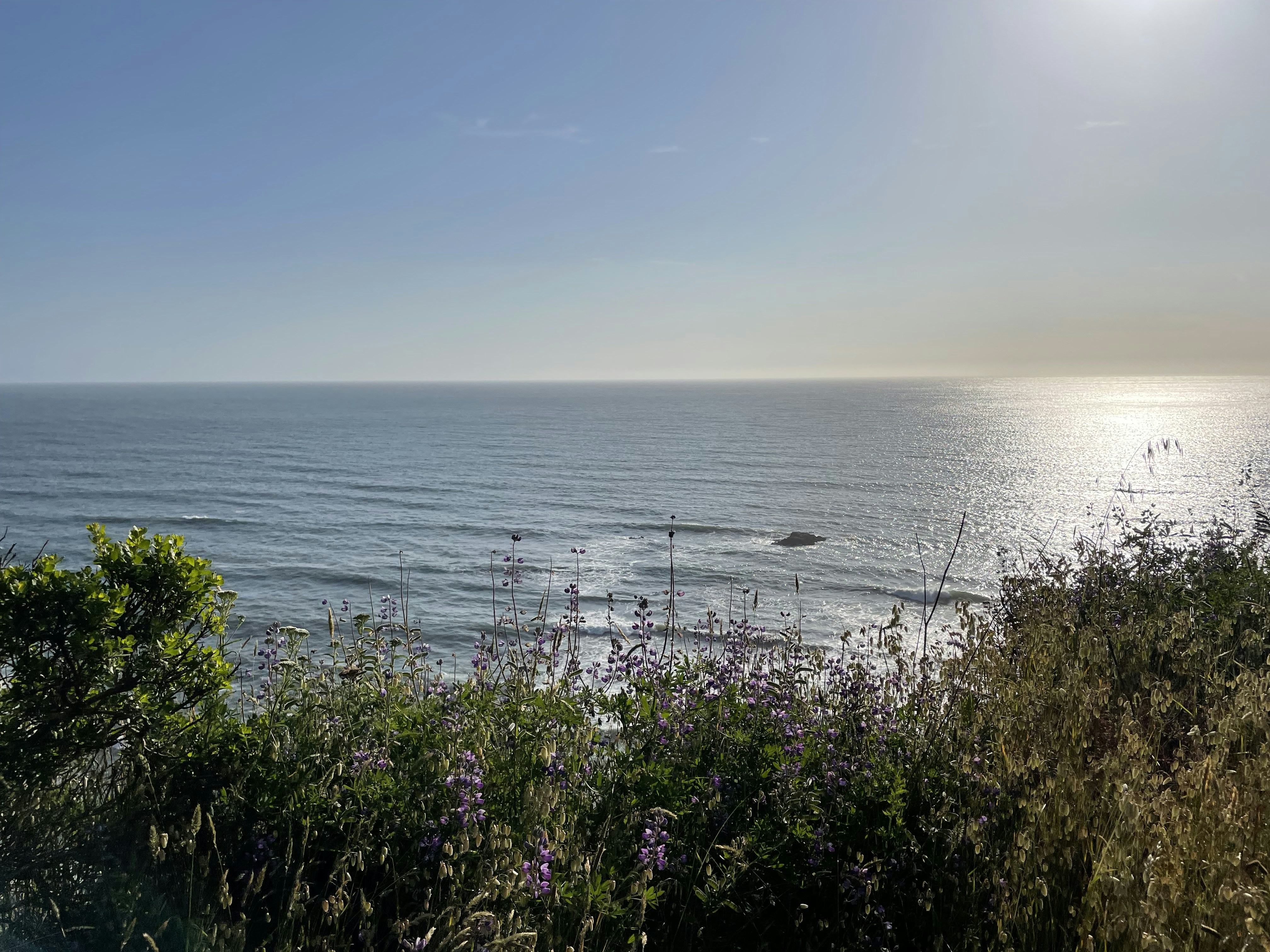 a view of a body of water from a hill