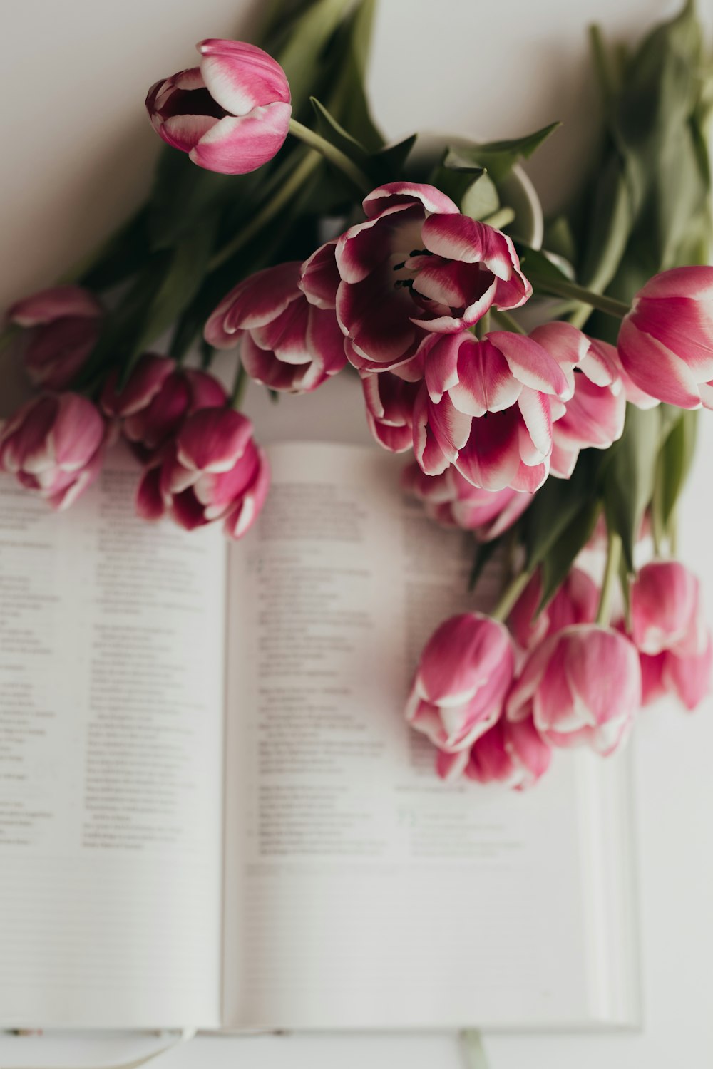 Un ramo de flores rosadas sentado encima de un libro abierto