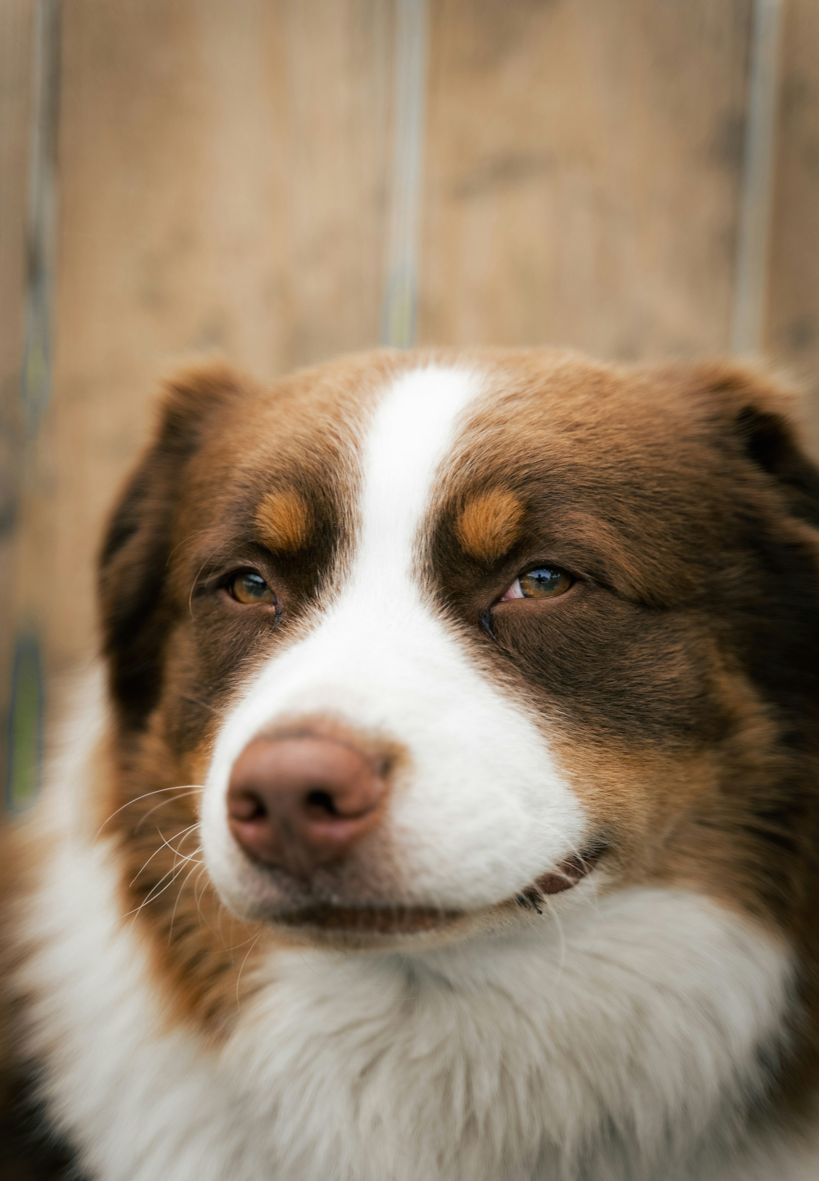 Photo by danny_lincoln