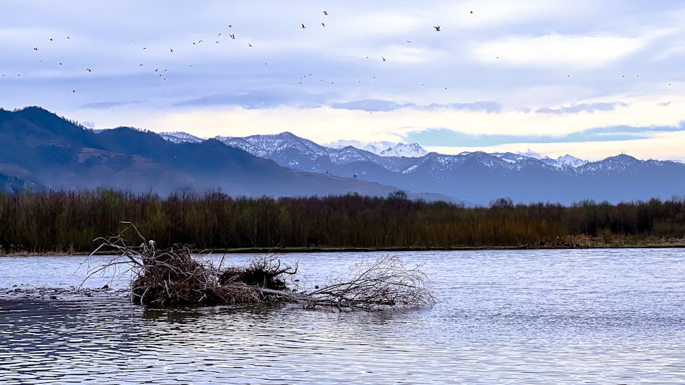 a large body of water with mountains in the background