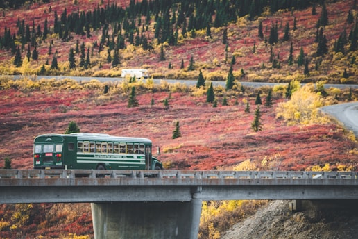 A green bus travels along a bridge, set against a backdrop of vibrant autumn foliage. The landscape exhibits hues of red and yellow, dotted with evergreen trees, creating a picturesque scene. A winding road and another vehicle are visible in the distance.