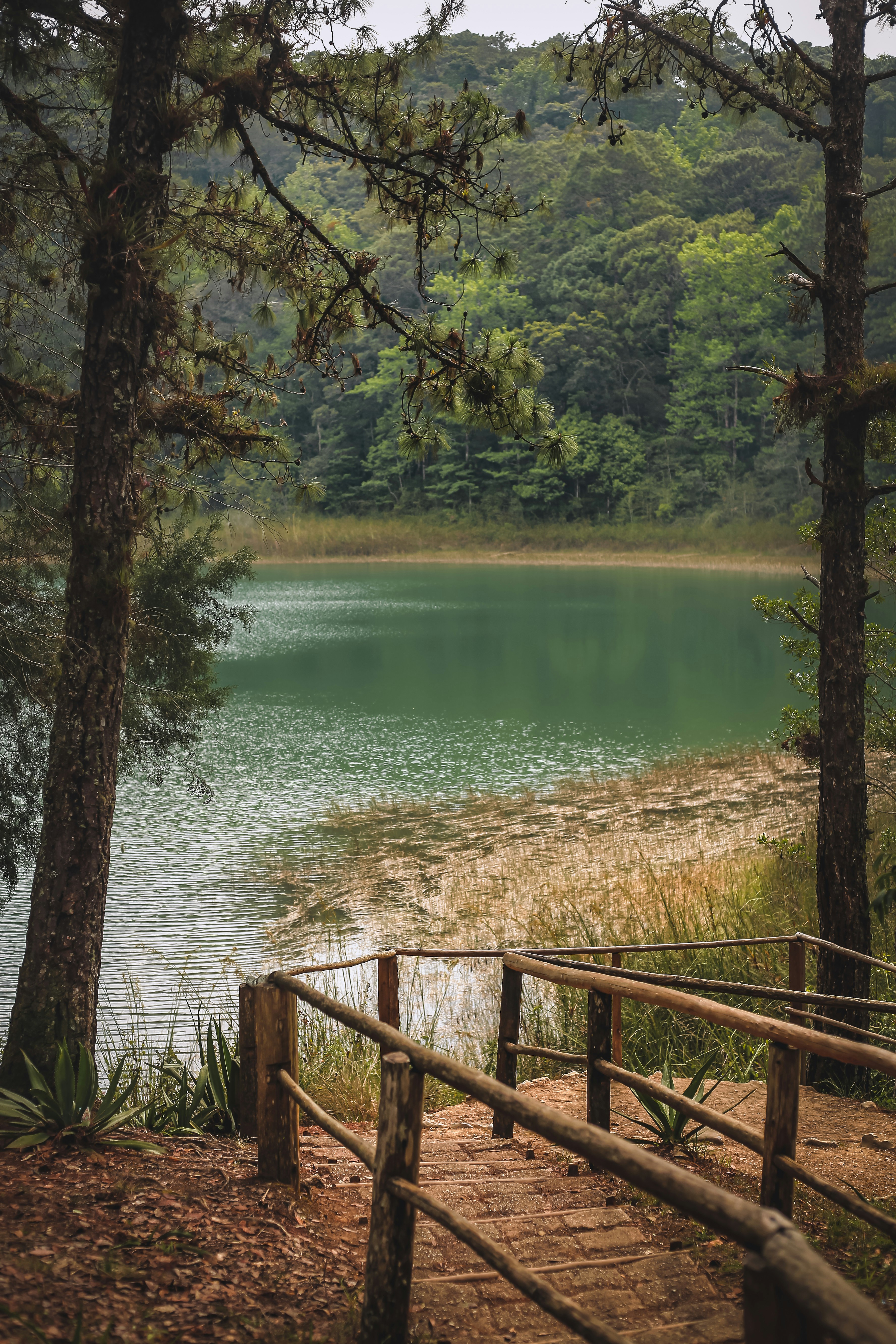 a wooden path leading to a body of water
