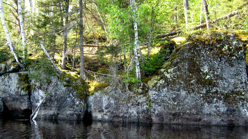 um corpo de água cercado por árvores e rochas