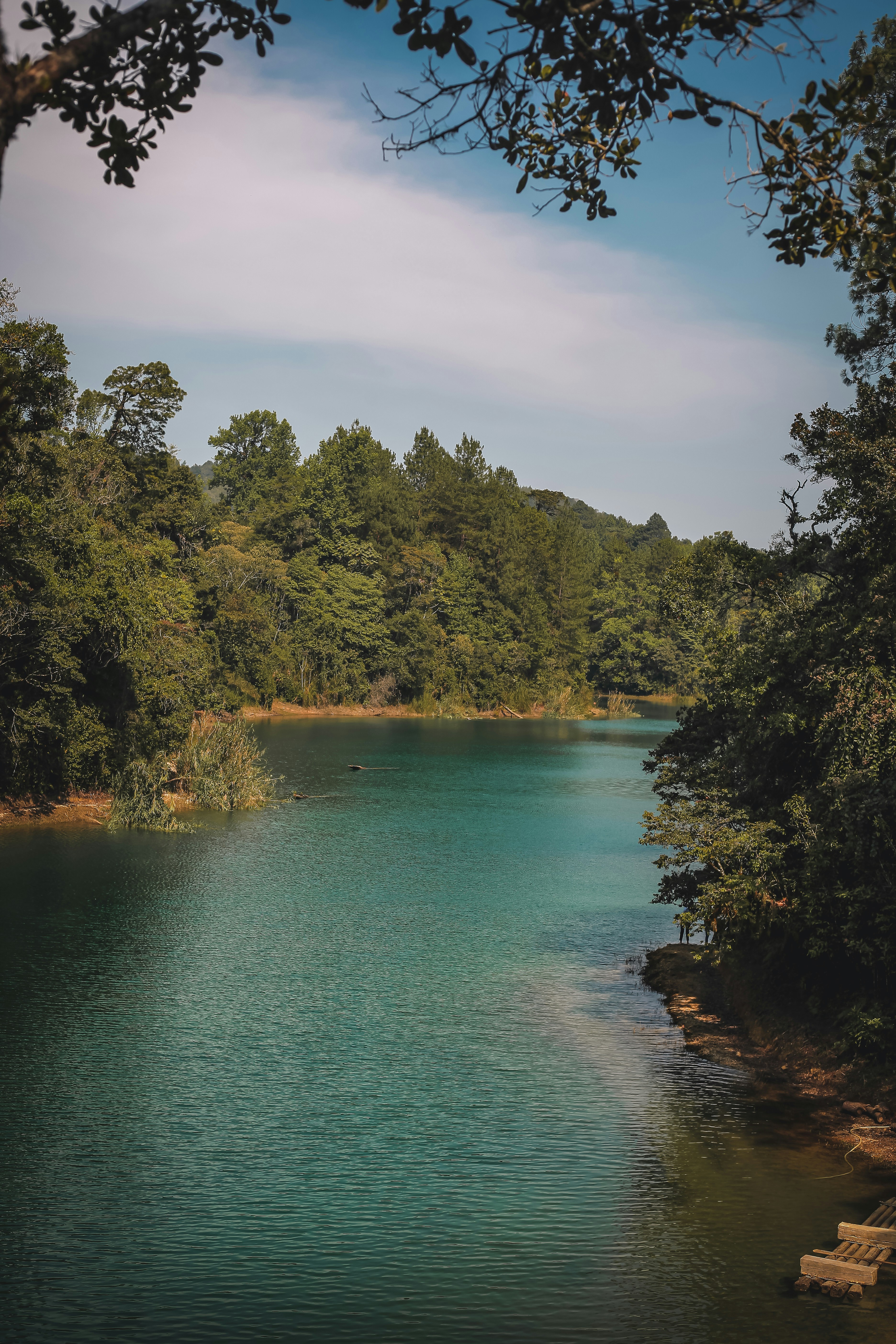 a body of water surrounded by trees