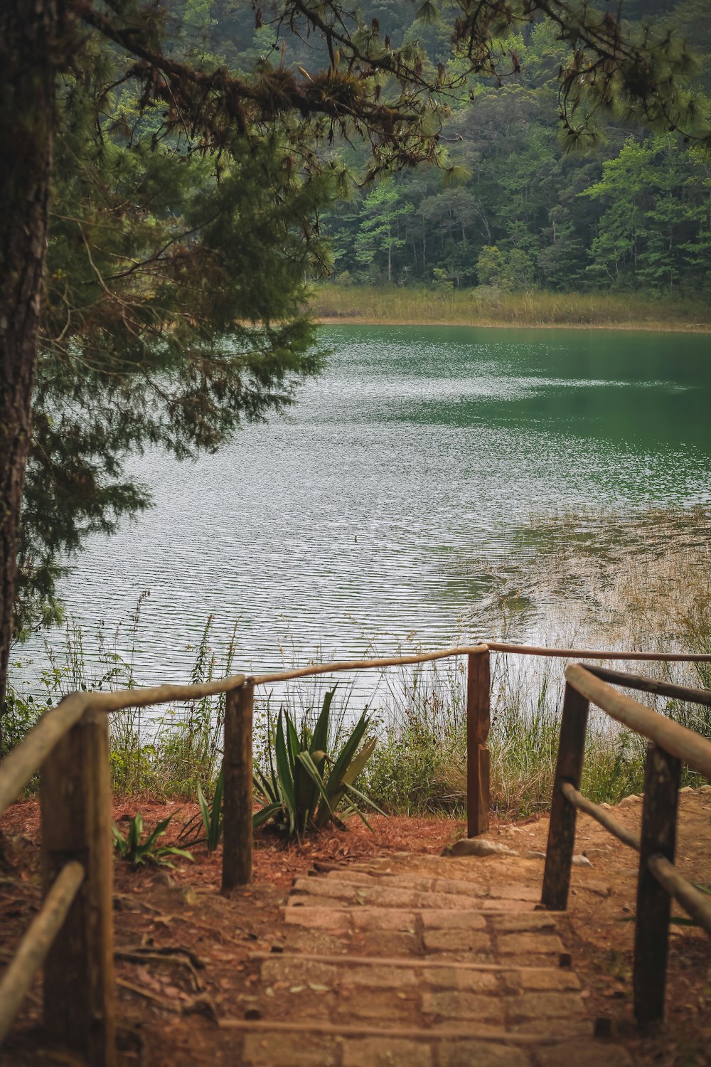 a view of a body of water from behind a fence