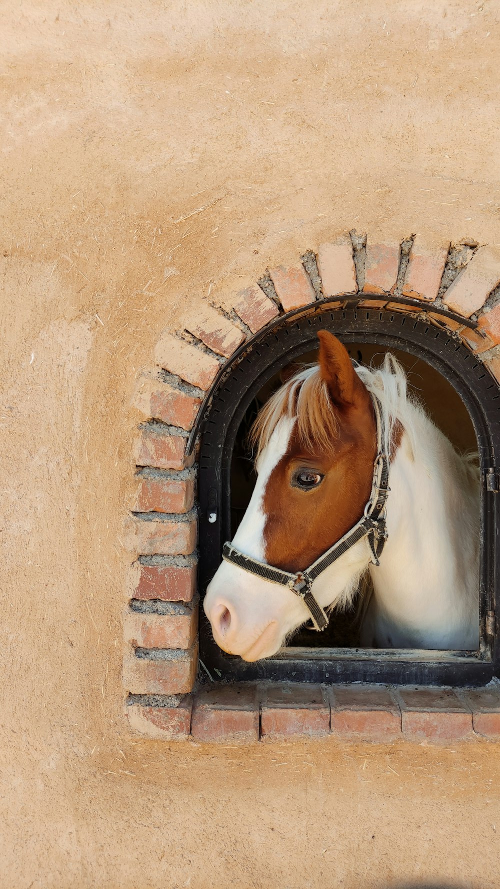 Un caballo marrón y blanco asomando la cabeza por una ventana