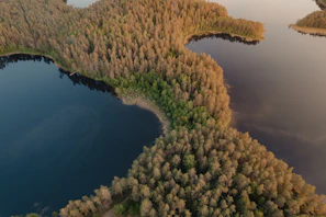 An aerial shot of the serene Bauer Lakes surrounded by green forest, highlighting the source of our water