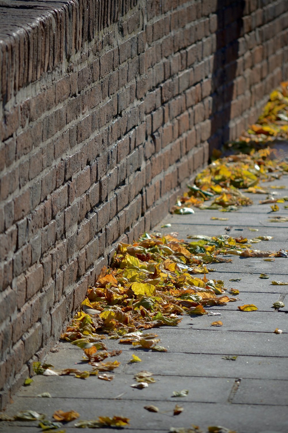 a brick wall next to a sidewalk with leaves on it