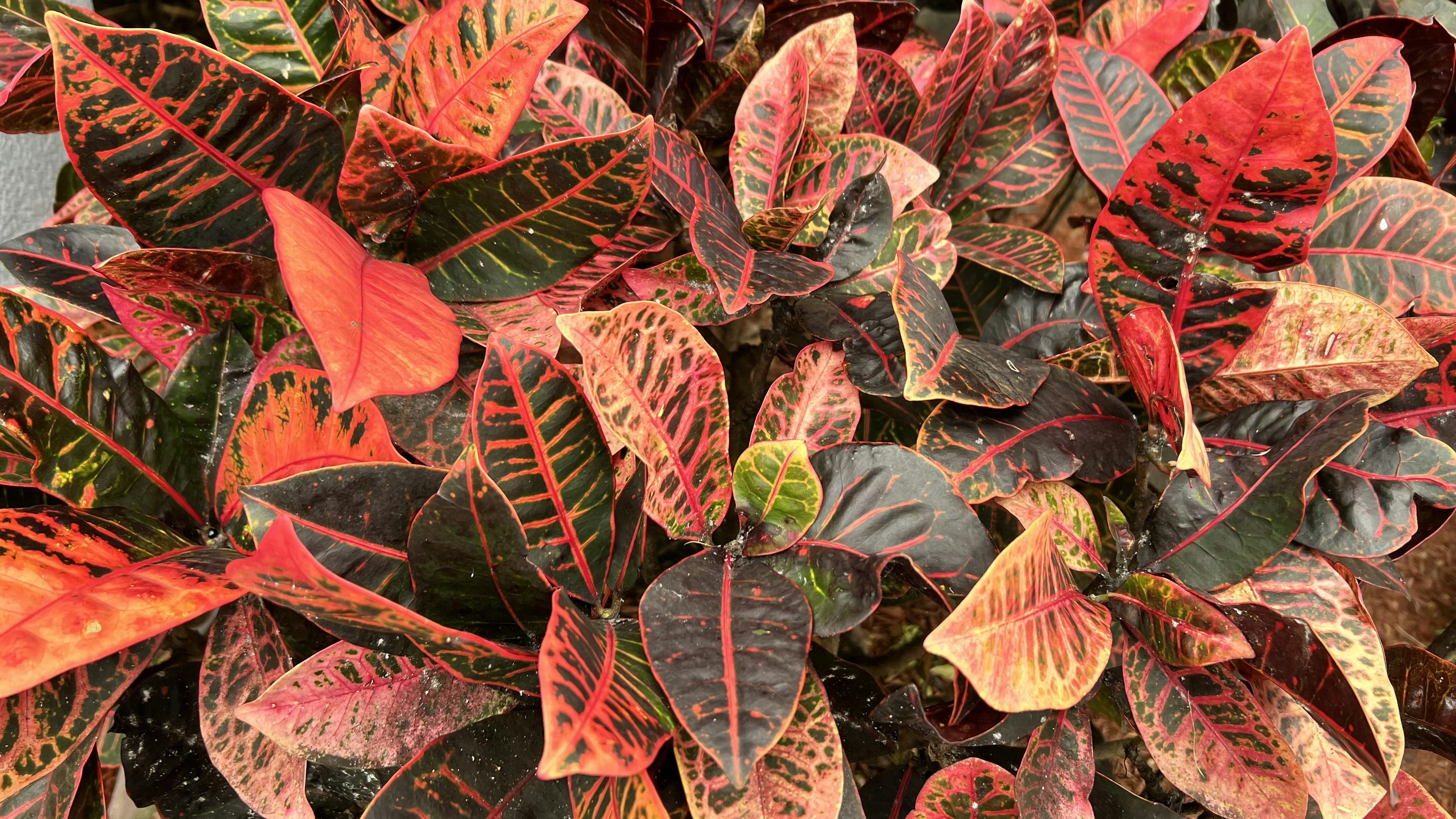 Photo by write2muzammilkhan