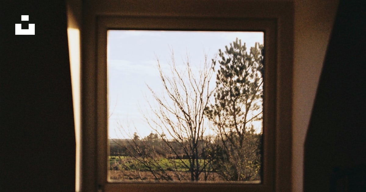 A view of a tree through a window photo – Free Fujifilm Image on Unsplash