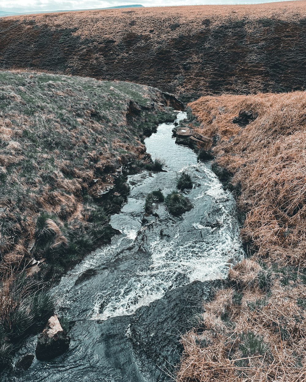 a stream running through a dry grass field