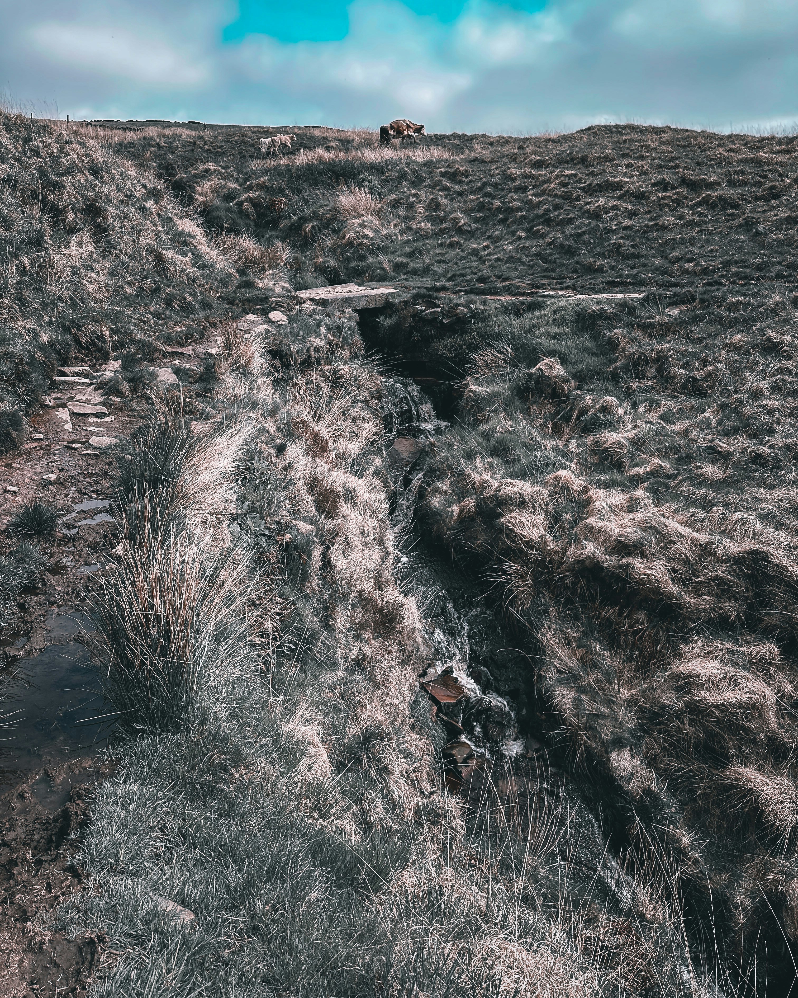 Photo by mancunianrookie