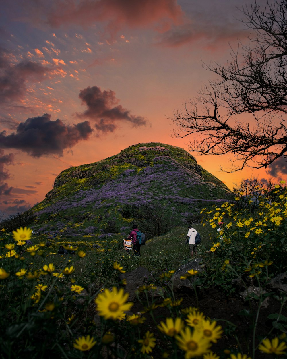 a group of people walking up a hill at sunset