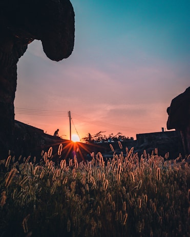 Young Colombian person smiling subtly while walking on a rural path at sunset, symbolizing a new journey.