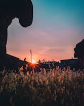 Silhouette of a person walking along a dirt path with a vibrant sunset in the background. Tall grasses in the foreground are illuminated by the warm sunlight. The sky transitions from bright orange near the horizon to a deeper blue towards the top, with faint outlines of structures in the distance.
