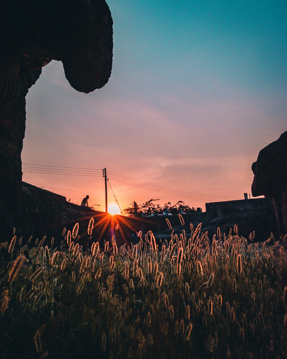 the sun is setting over a field of tall grass