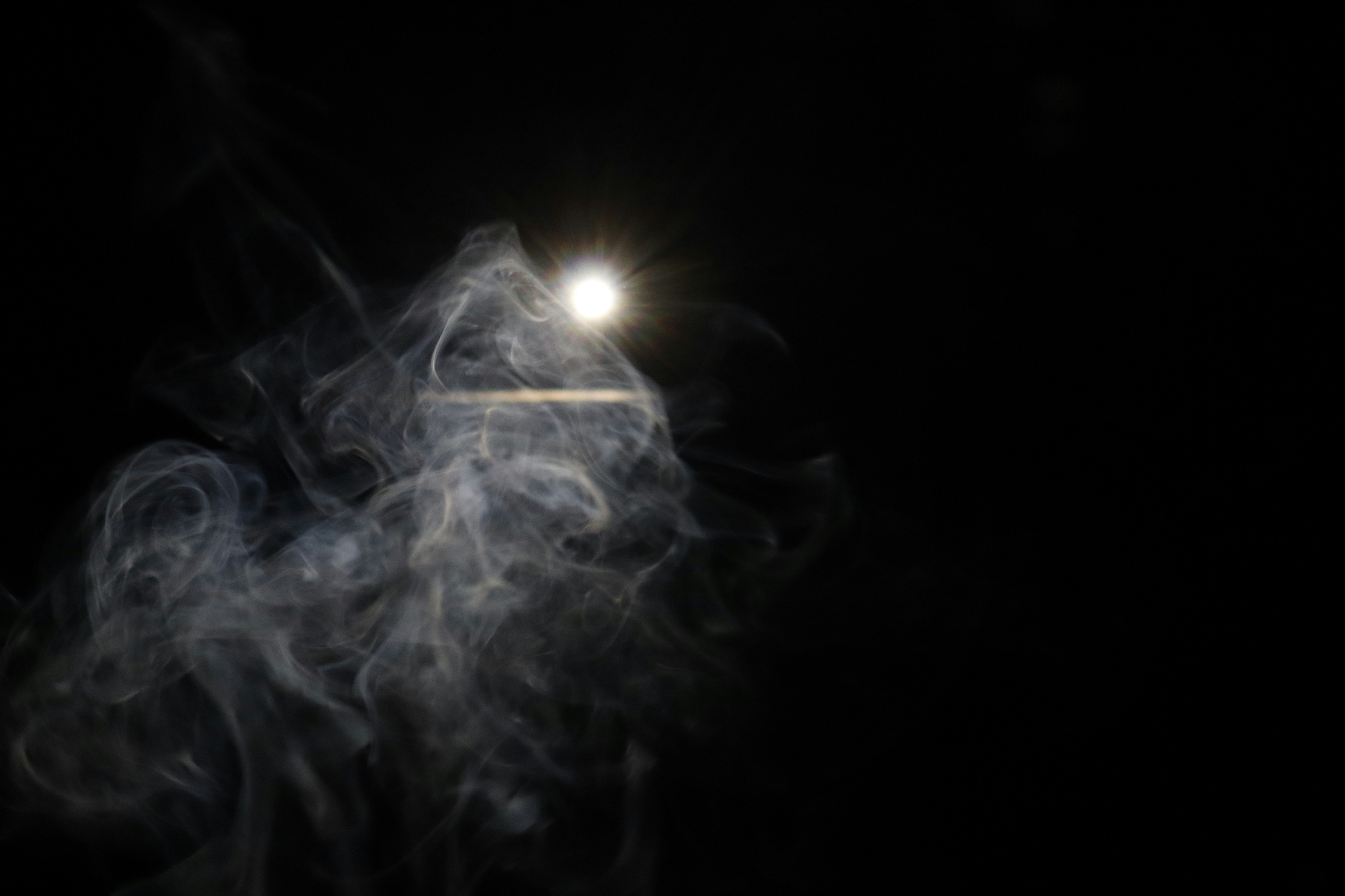 Photo by radhika_2022