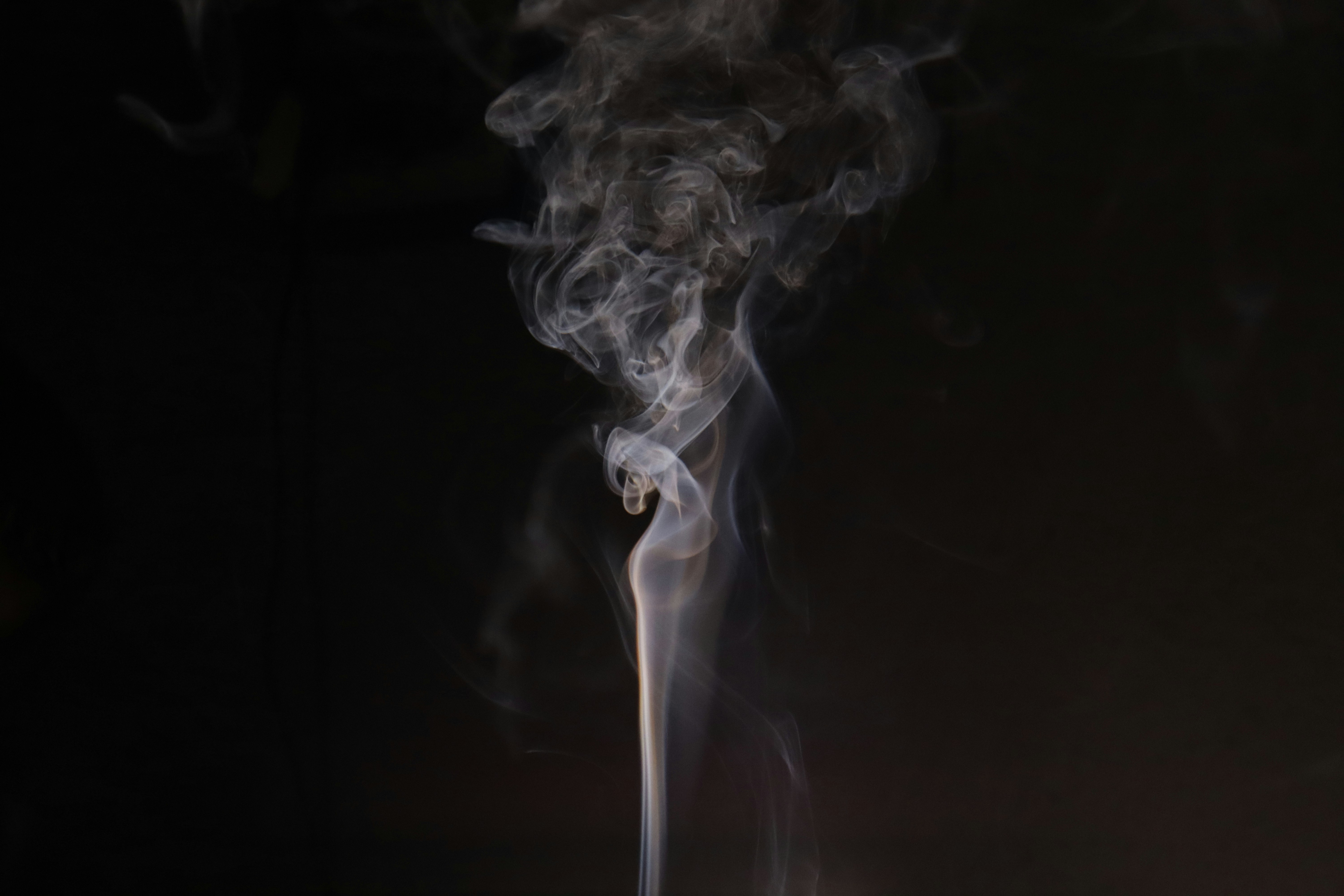 Photo by radhika_2022