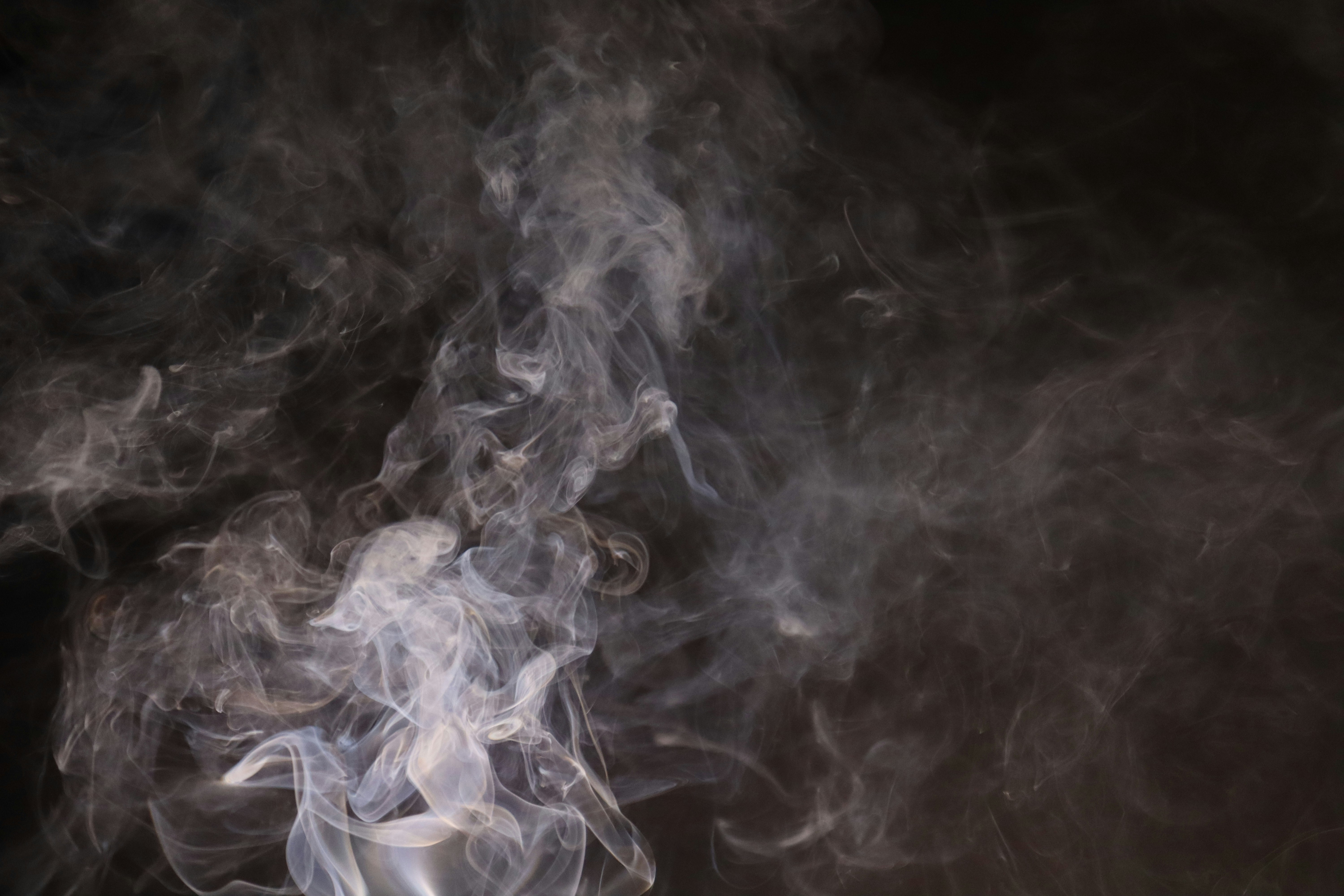 Photo by radhika_2022