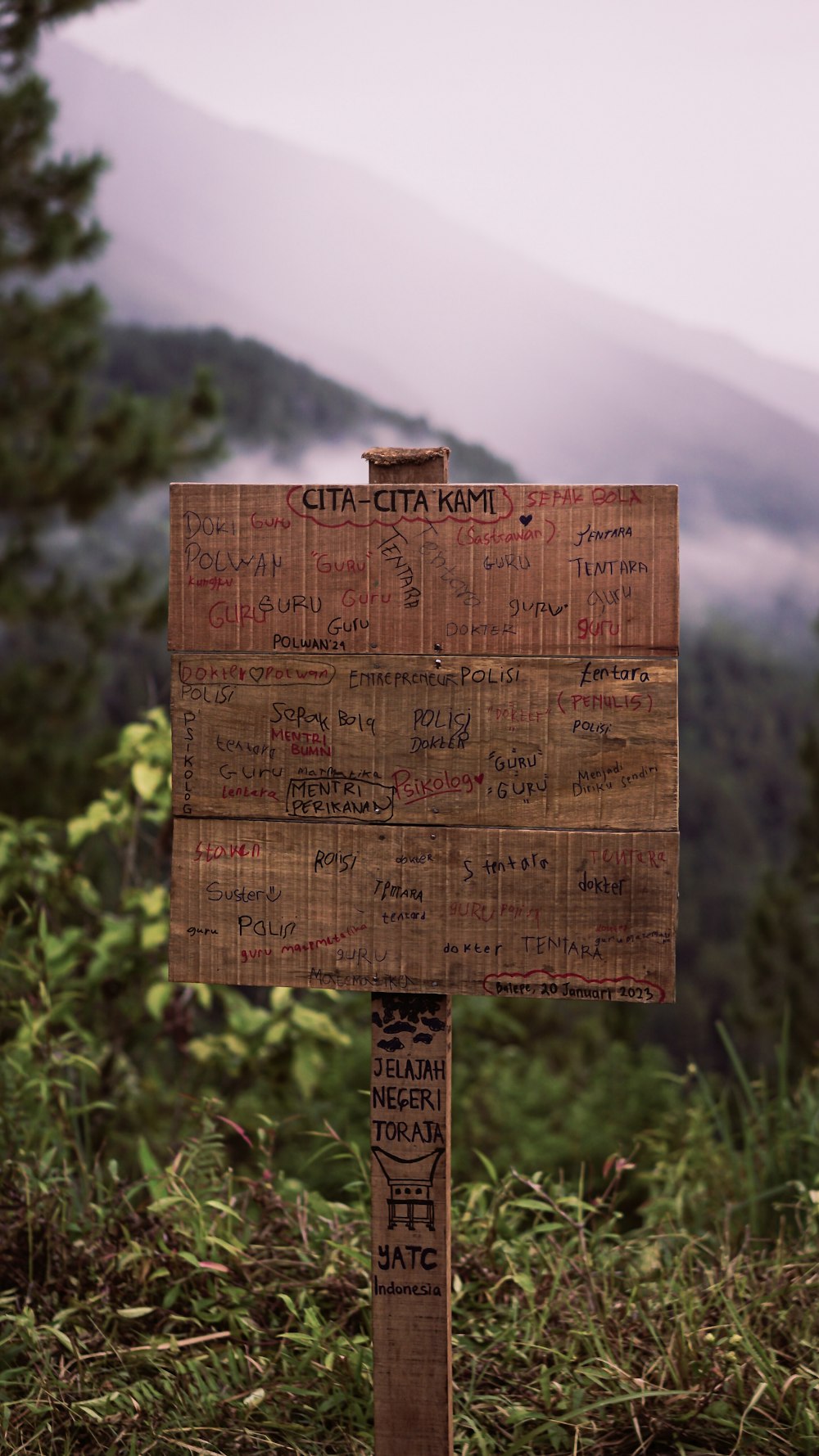 a wooden sign sitting on top of a lush green hillside