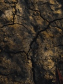 A close-up view of cracked and dry earth, with deep fissures running through the rough surface. The texture is gritty and uneven, suggesting a parched and barren landscape.