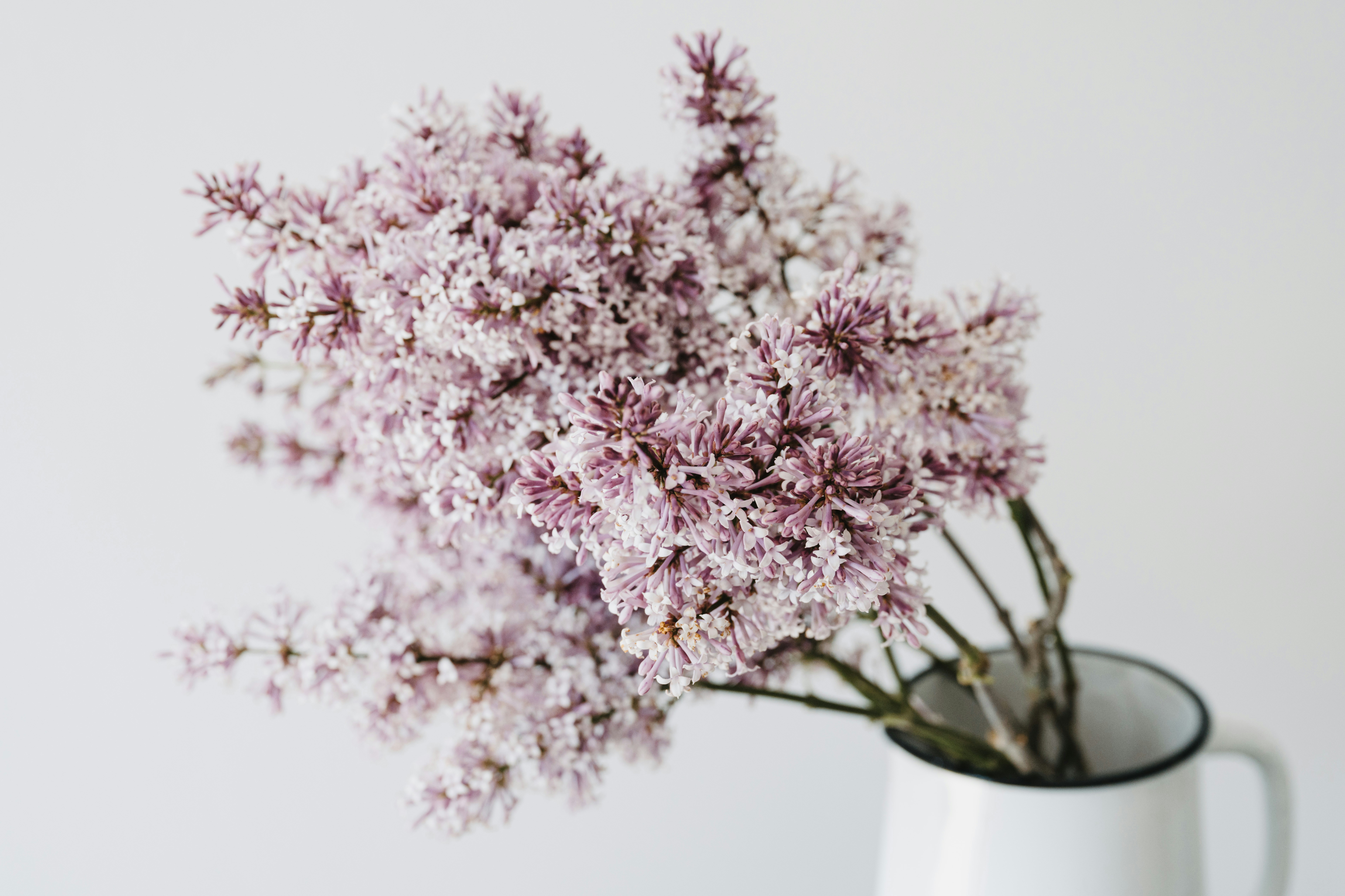 Photo by anitaaustvika