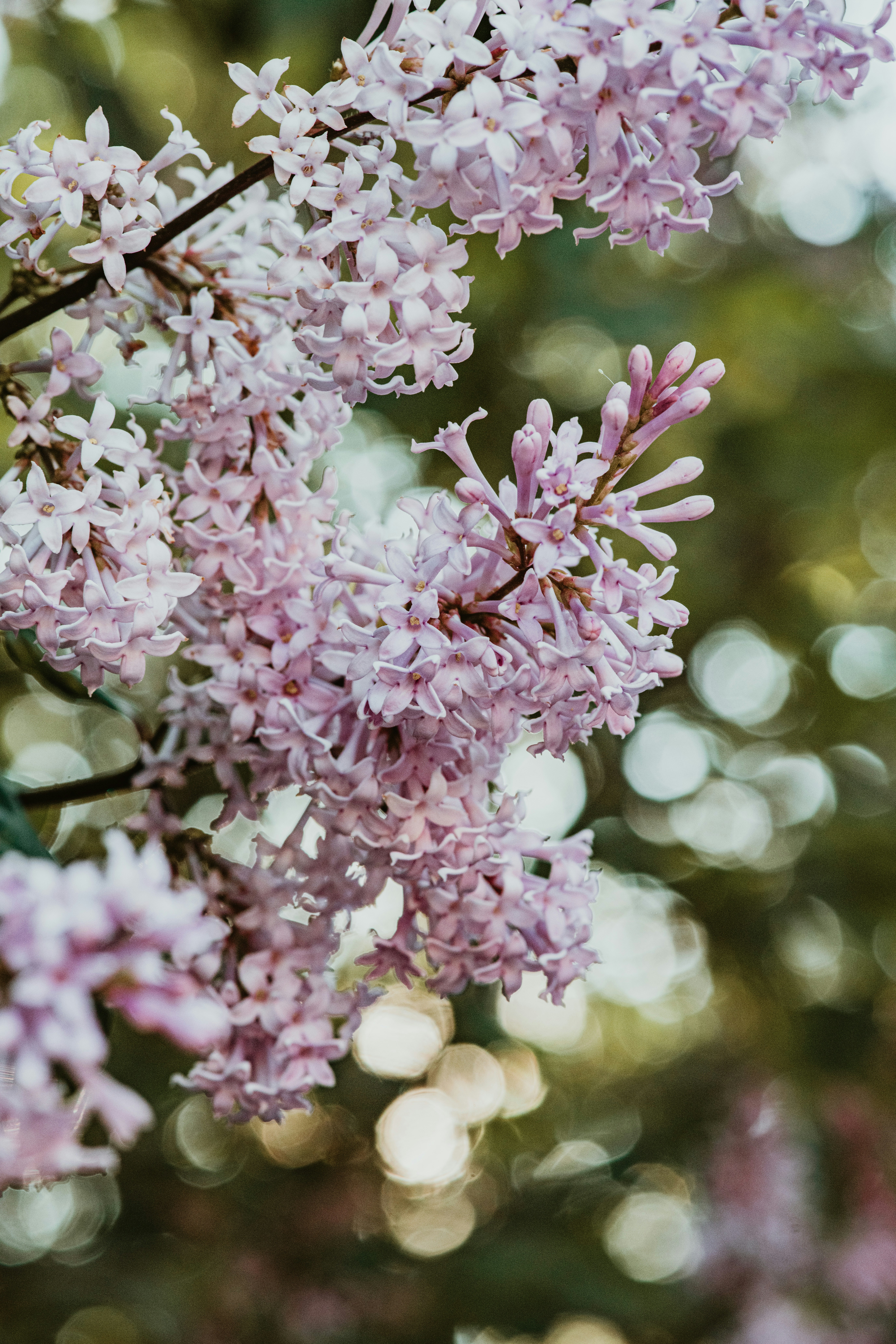 Photo by anitaaustvika