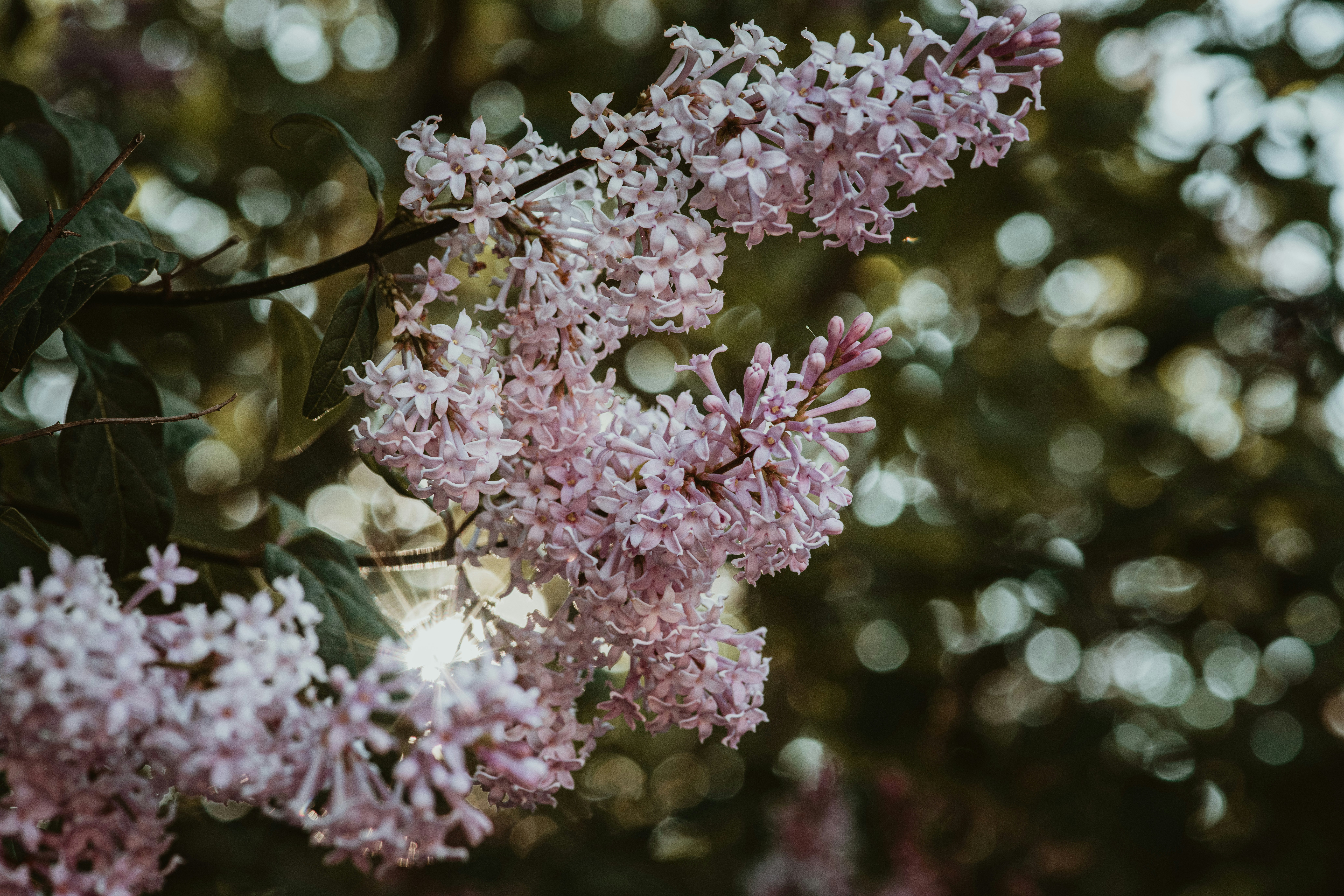 Photo by anitaaustvika